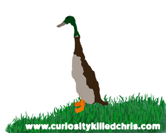 Curiosity Killed Chris Duck
